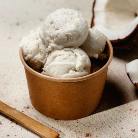 Non-Dairy Vanilla Ice Cream